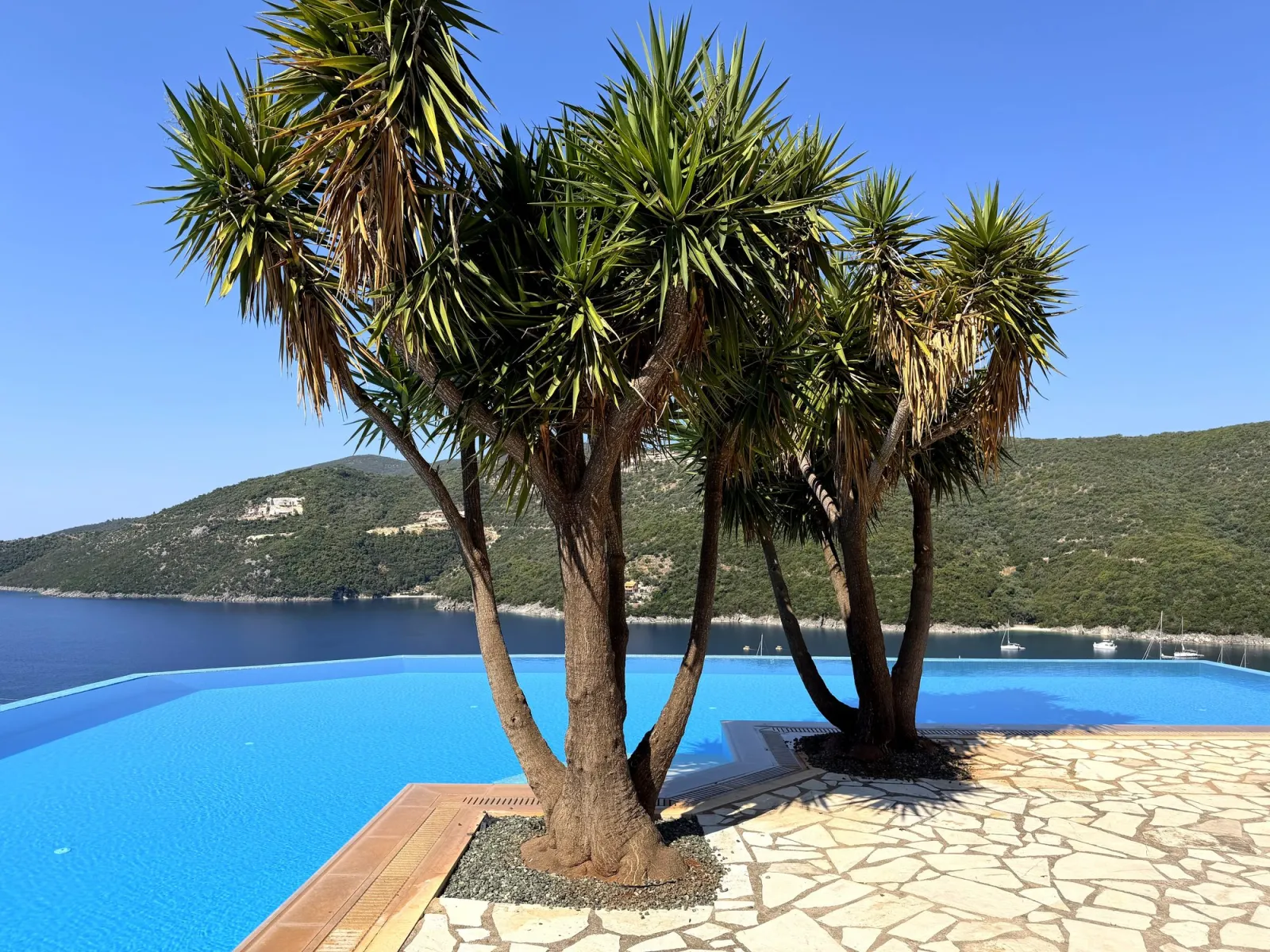 The 30m infinity pool at Cavos Villa above Mikros Gialos